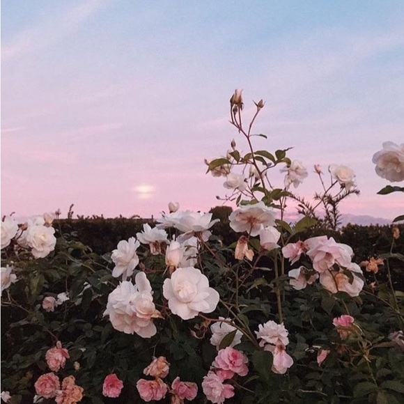 lyssxo____